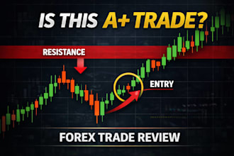 review your forex trade and show you high probability price action setups