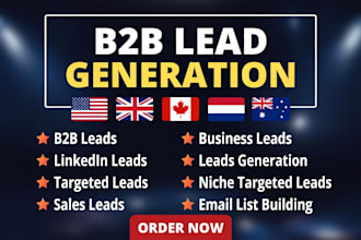provide USA, UK, ca targeted b2b leads generation for any business
