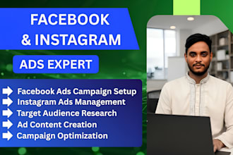 high converting facebook ads campaign setup and instagram ads management