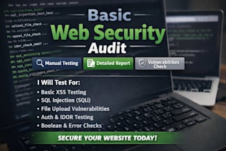 perform web security audit with detailed report