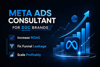 provide meta ads consulting for d2c ecommerce brands
