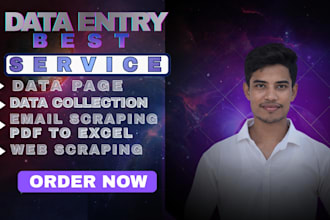 do accurate data entry, data collection, web scraping exce