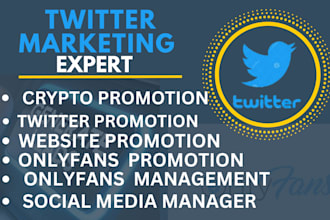 do twitter promotion fast organic growth with followers and engagements