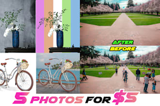 professionally remove distracting objects, people or background