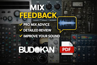 give detailed feedback on your music mix