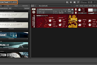 create an advanced professional kontakt, ni kontakt and sound library