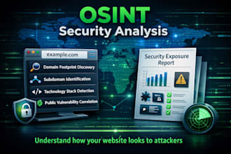 perform an osint security analysis of your website or domain