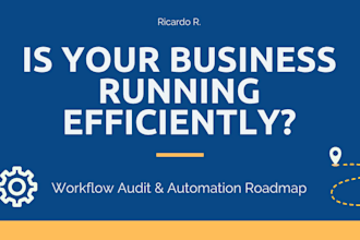 audit your business workflows and advise on automation