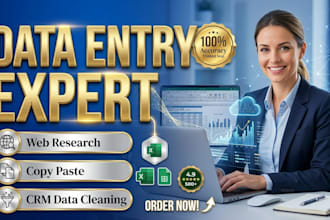 do accurate data entry, copy paste and typing work