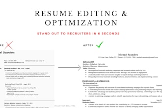 professionally write, edit, and optimize your resume