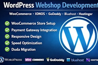 wordpress website diseño web profesional SEO españa woocommerce landing page