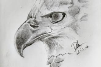 draw custom wildlife illustrations for technical merchandise