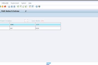 develop python, sql, and sap abap solutions