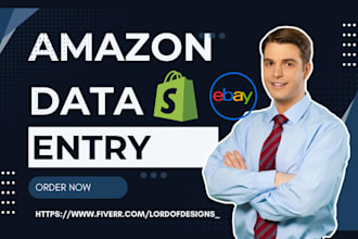 setup data entry amazon ebay product listing shopify ms excel web research