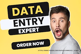 setup data entry research shopify ms excel web research google spreadsheet crm