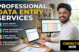 do data entry work in excel, ms word, power point and assignment writing
