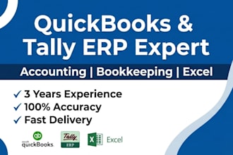handle quickbooks, tally erp and excel data entry accounts
