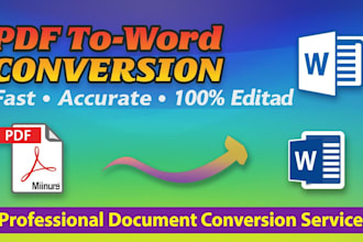 professional PDF to word conversion