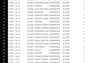 clean excel data, merge, format, short, split, data analysis