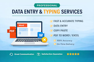 do professional data entry, copy paste and excel data typing