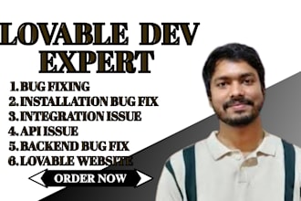 fix bugs and errors in your lovable website backend bugs integration, API issue
