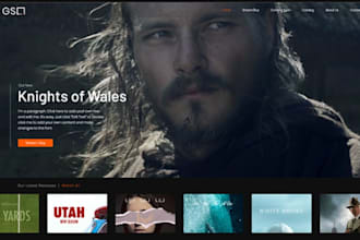 design fantastic wix website, film website, cinema website for your company