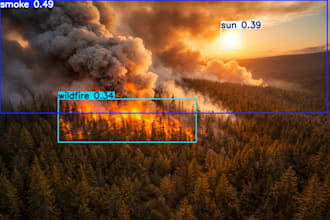 create a custom ai object detection model using yolov8n