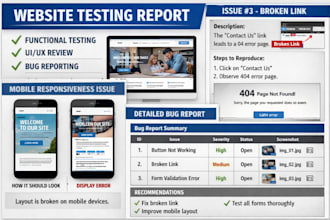 perform website testing and provide actionable bug reports