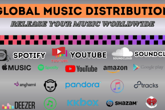 be your music distribution music promotion music manager music release distrokid