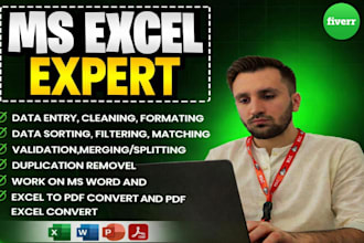 quick and fast excel entry, merge organize, file conversion