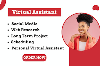 be your personal virtual assistant for social media  and long term project