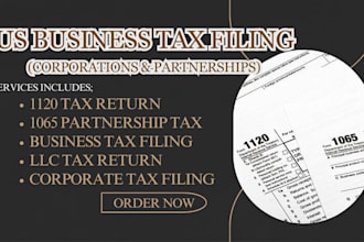 prepare US business tax return 1120, 1065 for llc, partnership or corporation