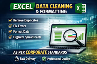 do professional excel data cleaning and formatting as per corporate standards