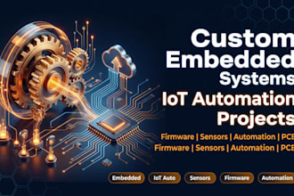 develop custom embedded systems and iot automation projects