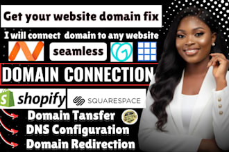 connect domain to website transfer or redirect godaddy domain cloudflare