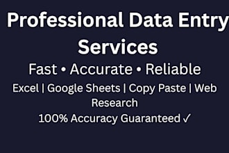 do fast and accurate data entry, copy paste, and web research in excel or google