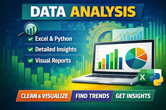 do data analysis, data cleaning and visualization using excel or python