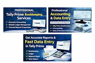 do professional bookkeeping and accounting in tally prime