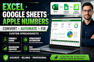 convert, automate, or fix custom excel spreadsheet, apple numbers, google sheets
