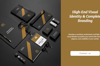 professional visual identity and complete branding