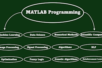 matlab programming for you