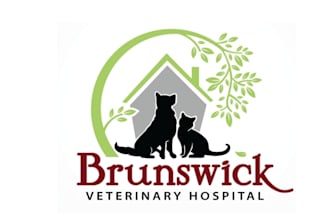 do eye catching logo for a small animal veterinary hospital