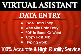 do excel data entry, data entry