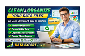 do spreadsheet cleanups and data integrity checks