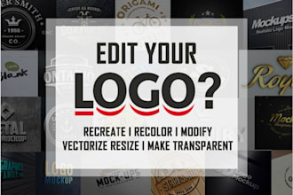 design, redesign, revamp, edit, or enhance any business logo