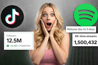 grow promote your music to 5m tiktok music lovers and influencer music promotion