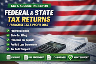 do federal tax return, franchise tax, state tax, financial audit and profit loss