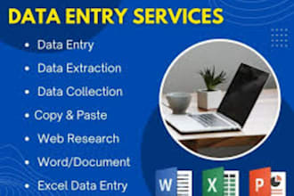 be your professional data entry operator