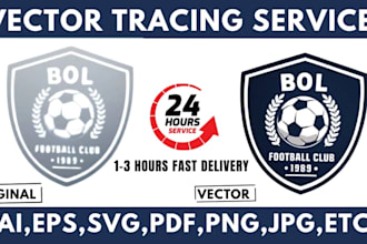 edit, recolor, change font, vectorize, make transparent logo