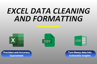 do excel data cleaning, deduplication, and formatting